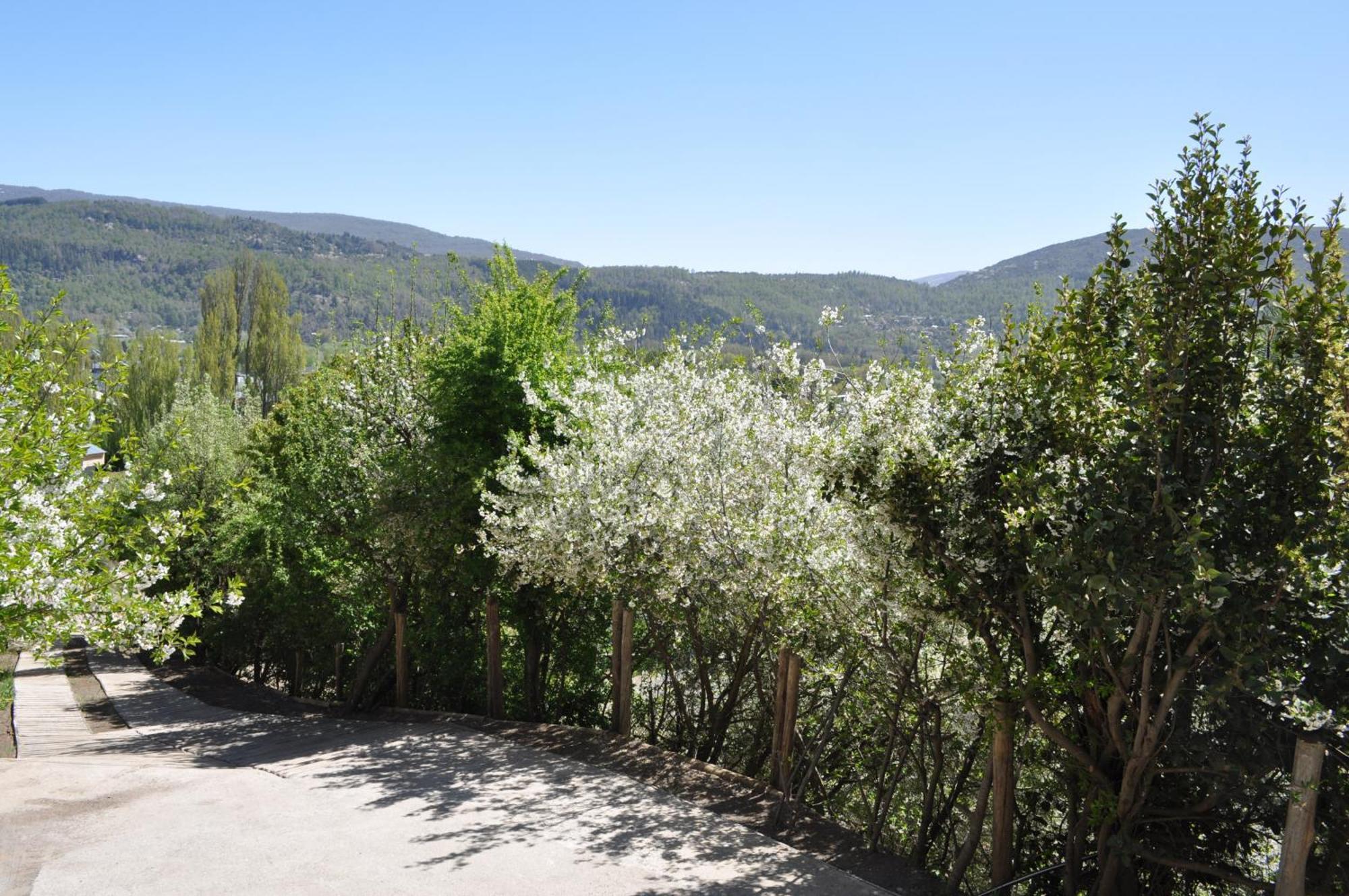 Melodia Natural En San Martín de los Andes Exteriér fotografie